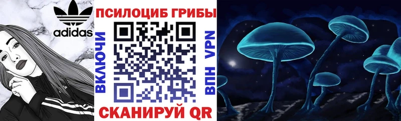 omg ссылки  Сельцо  Псилоцибиновые грибы прущие грибы  дарнет шоп 